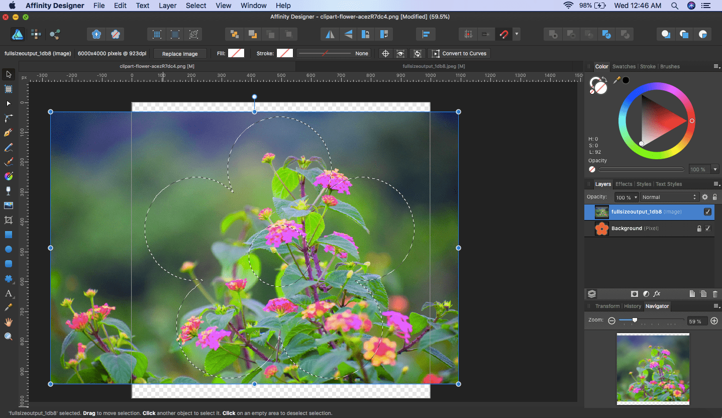 affinity designer image placed over selection