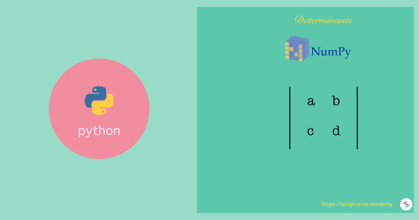 python determinant of a matrix
