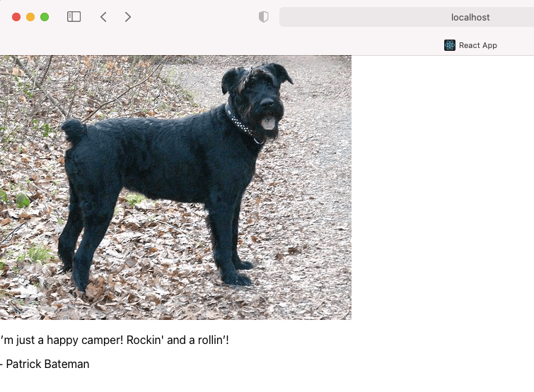 reactjs useselector usedispatch